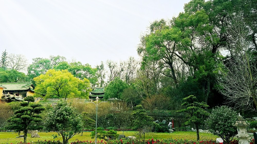 佛山市IOS软件开发首先需要什么条件